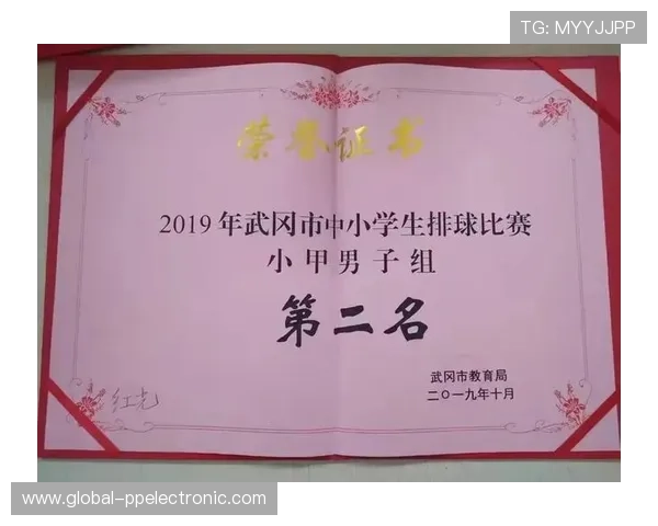 南京排球队心理素质排名第十揭示团队潜力与挑战